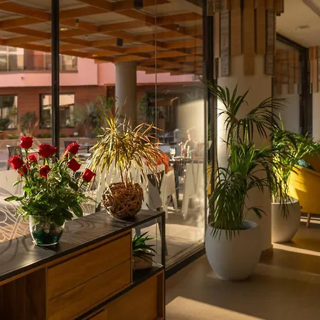 Aqua The Breeze (adults Only +18) 4* Santa Susanna